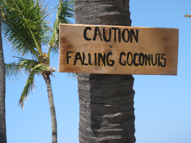 falling-coconuts-sign